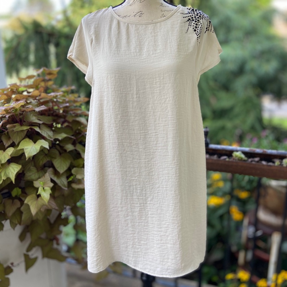 Zara shift dress